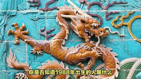 1988生肖|1988年属什么生肖的 1988年出生是什么命